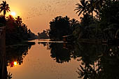 Kerala backwaters, sunrise along one of the the narrow canal from our guest house at Kumarakom. 